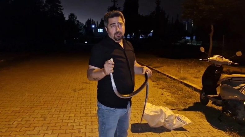 Çamaşır Makinesine Giren Yılanı Nasihat Vererek Gönderdiler