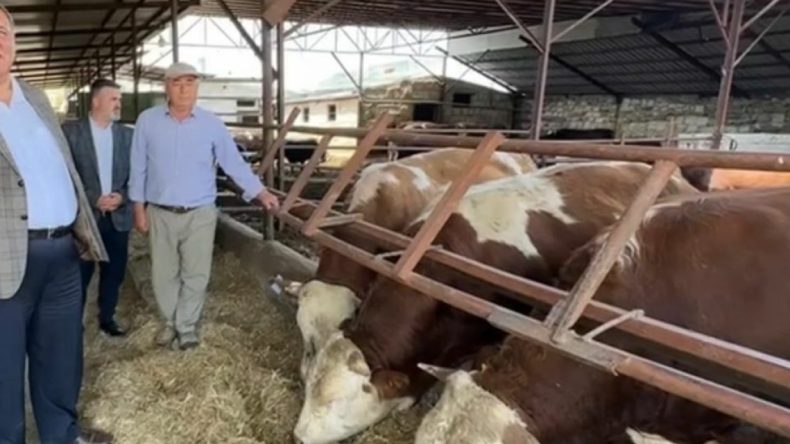 CHP’li Gürer’den İktidara Tepki: Yerli Hayvancılık Desteklenmiyor, İthalat Yapılıyor