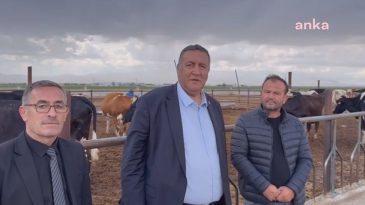 CHP’li Gürer’den Süt İsyanı: Fransa Bizden Daha Fazla Süt Üretiyor