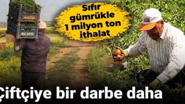 Çiftçiye Bir Darbe Daha: Sıfır Gümrükle 1 Milyon Ton İthalat