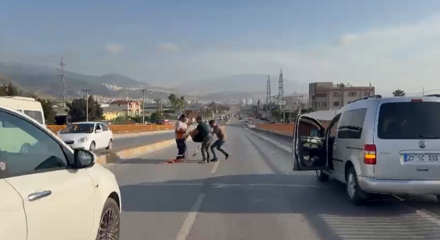 Deve kuşu çiftliğe döndü