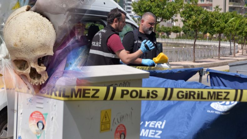Çöpte Bulunan Kafatasının Gerçek Hikayesi: Temizlik Yapan Eşi Atmış