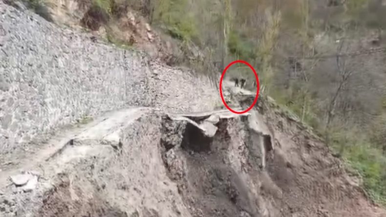 Dağ Yamaçları Kaydı! Son Anda Kurtuldular: Artvin’de Herkesin Kaza Hakkı Var