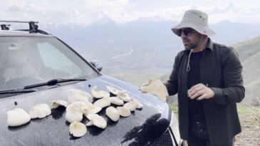 Dağlarda Kendiliğinden Yetişen Mantar, Kilosu 1.250 TL’den Satılıyor