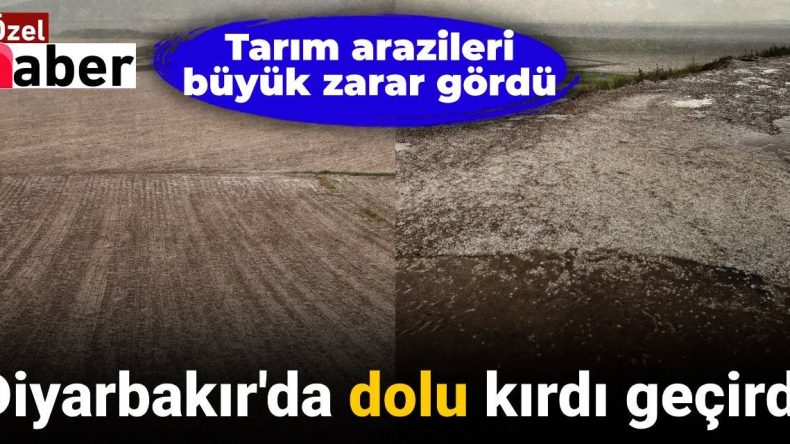 Diyarbakır’da Dolu Felaketi: Tarım Arazileri Zarar Gördü