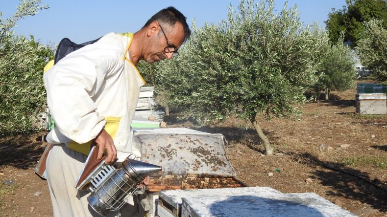 Doktor Tavsiyesiyle Arıcılığa Başladı: 2 Arıyla 2 Ton Bal Üretimi