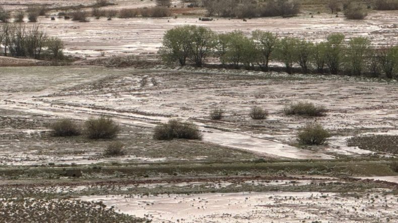 Dolu Yine Çiftçiyi Vurdu: 8 Bin Dönüm Tarla Zarar Gördü