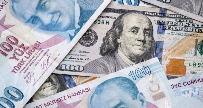 Döviz Kurları Üzerine Güncel Bilgiler