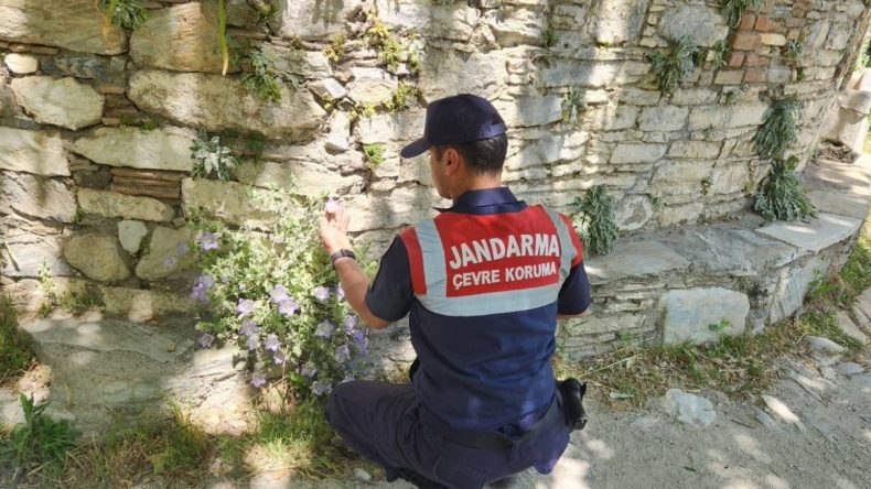 Dünyada Tek: Koparmanın Cezası 557 Bin TL