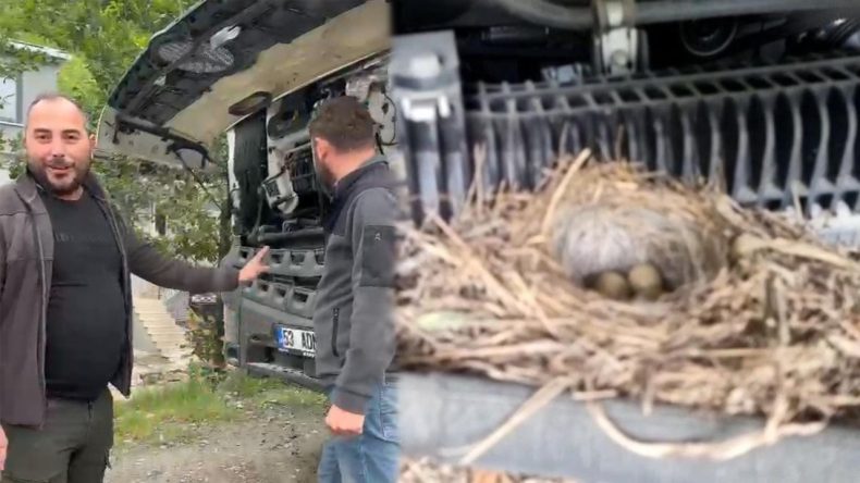 Dünyanın En Pahalı Kuş Yuvası: Kuş Yuvası İçin 150 Bin Liralık Gelirden Oldu