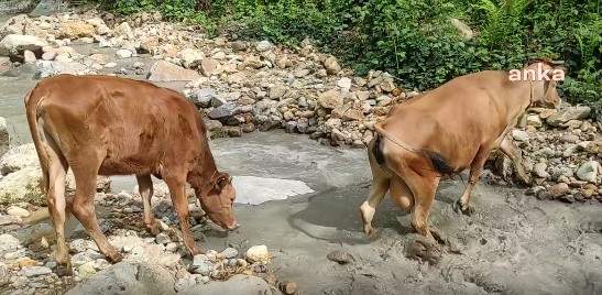 Kirli su kaynakları
