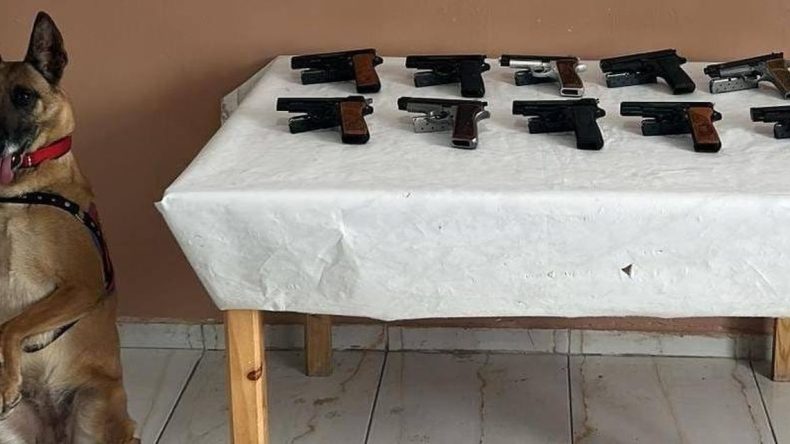 Erzurum’da Ruhsatsız Tabanca Operasyonu: Bomba Köpeği Destek Verdi