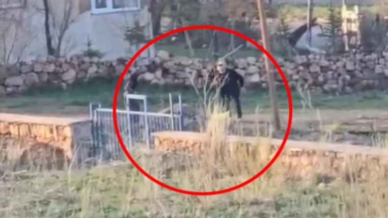 Eşeğe İşkence Yapan Adama Serbest Bırakılma Şoku