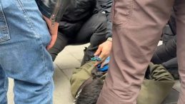 Eylemciyle polis arasında ilginç diyalog: ‘Burun kıllarımı alıyorum’, ‘Ben siz değilim’