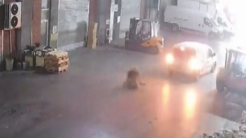 Geri Giden Araç Yayaya Çarptı