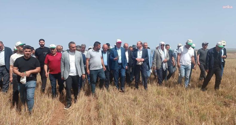 Güneydoğu’da Kuraklık Tehlikesi!