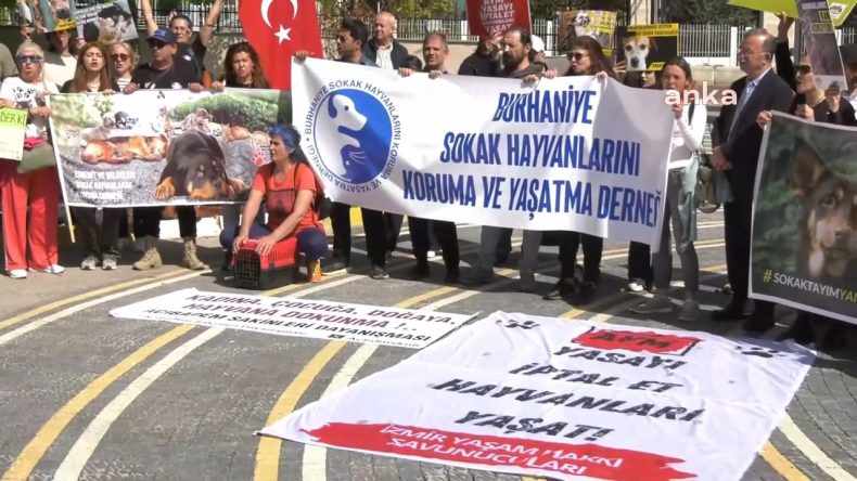 Hak Savunucuları AYM Önünde: Katliama Hayır