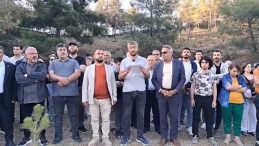 Hatay’da Vatandaşa Rahat Yok: Ağaçları Kestirmemek İçin Direniyorlar