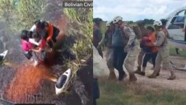 Hayatta Kalma Mücadelesi: Uçak Timsahların Arasına Düştü