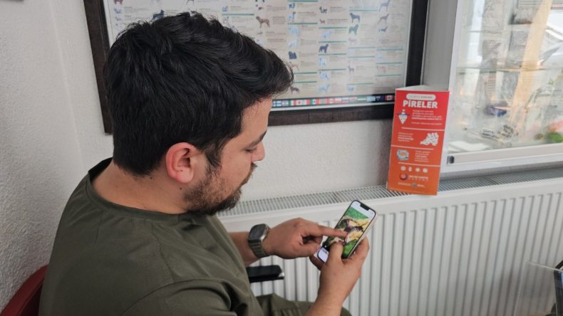İki Kedinin Organları ‘Profesyoneller’ Tarafından Çalındı