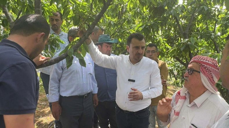 İsyan Etti: 6 – 6.5 Ton Ürün Alıyordum, Şimdi 5 Kasa Çıkmıyor