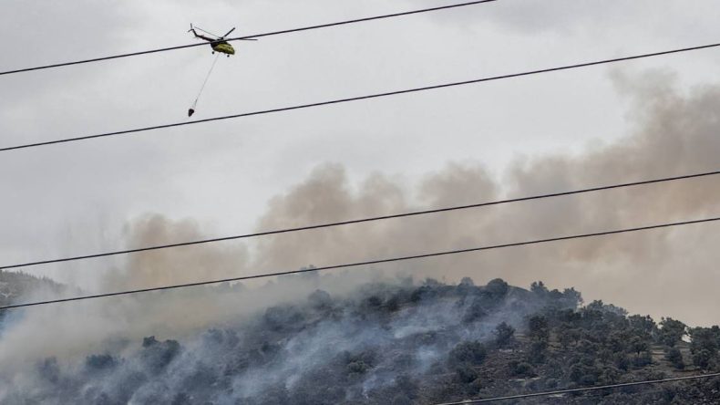 İzmir’de Alevler Zeytinliği Sardı! 2 Uçak ve 2 Helikopterle Müdahale Edildi