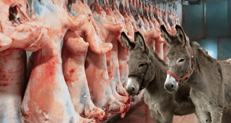 Kasap, at ve eşek eti satarak dikkatleri üzerine çekti!