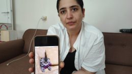 Kayıp Kedi, Eşinin Boşanma Tehdidiyle Gündemde
