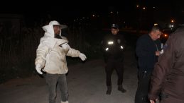 Kaza Anında Polisler Arıların Hedefi Oldu