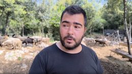 Kime üzüleceğini şaşırdı: ‘İnsanlar küçükbaşa ortak girmeyi düşünüyor’