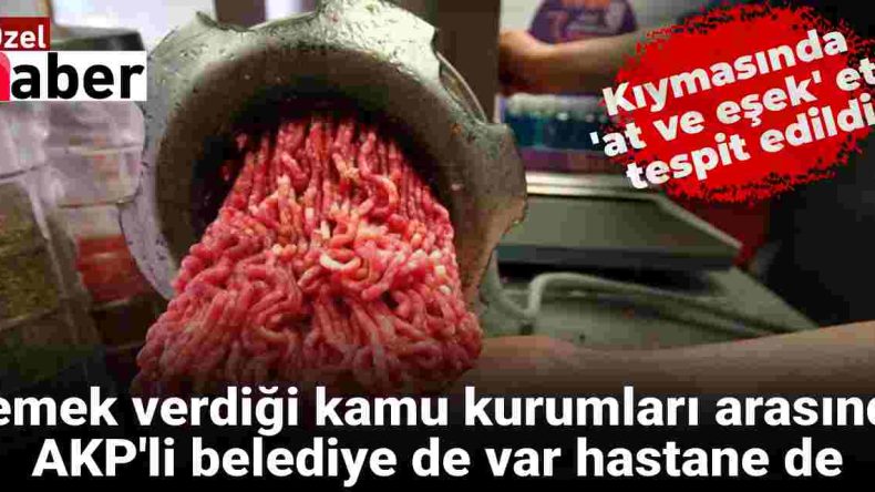 Kıymasında ‘At ve Eşek’ Eti Tespit Edildi: AKP’li Belediyeye ve Hastaneye Yemek Vermiş!