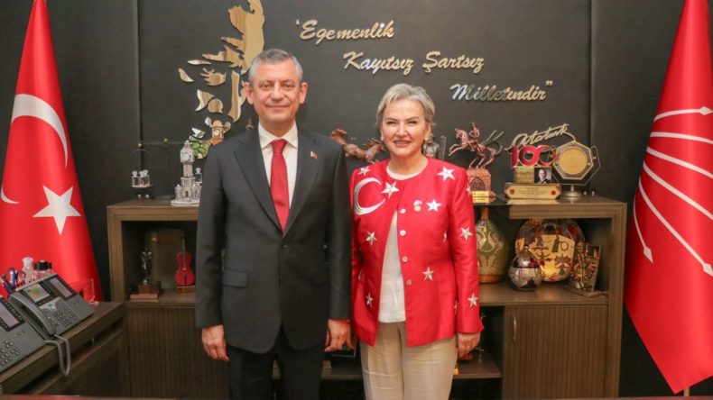 Komisyon Kuruldu: CHP Barınakları Denetleyecek