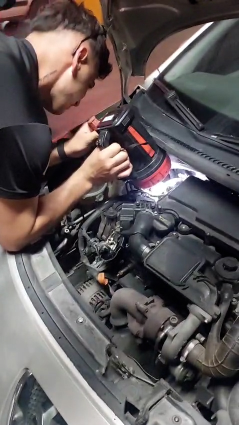 Yavru kedi motor kısmında