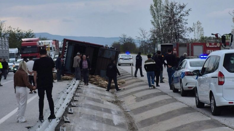 Korkunç Kaza: Kamyon Devrildi, Onlarca Koyun Hayatını Kaybetti