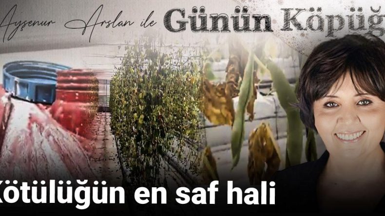 Kötülüğün En Saf Hali