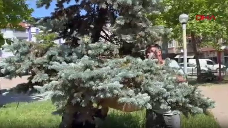 Kraliçe Arıyı Görmek İçin Cesurca Oğula Girdi