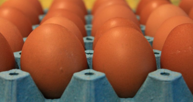 Krizde Kârlar Rekora Ulaştı: Yumurta Üreticisi Yeni Bir Zirveye İmza Attı