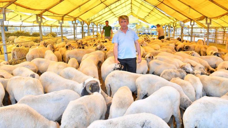 Kurban Satış Yerleri Belli Oldu