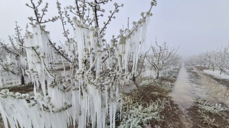 Malatya’da Zirai Donun Maliyeti Açıklandı