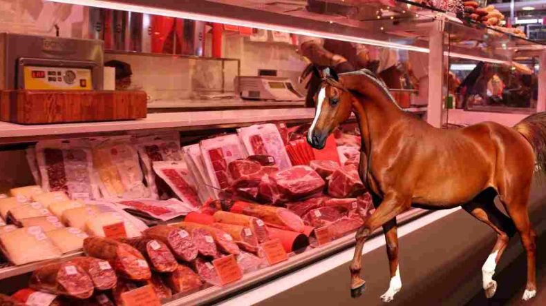 Markette Satılan Etin At Eti Olduğunu Gösteren Tek İşaret