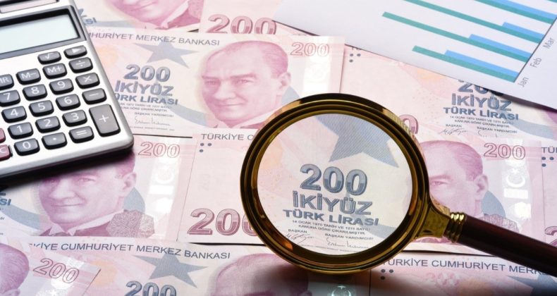 Merkez Bankası’ndan TL Adımları