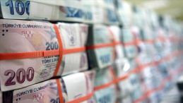 Merkez ve Hazine’den Döviz Hamleleri