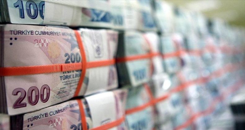 Merkez ve Hazine’den Döviz Hamleleri