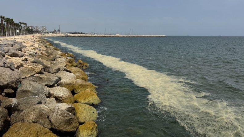 Mersin Körfezi’nde Alg Patlaması: Yosunlar Su Yerine Akıyor