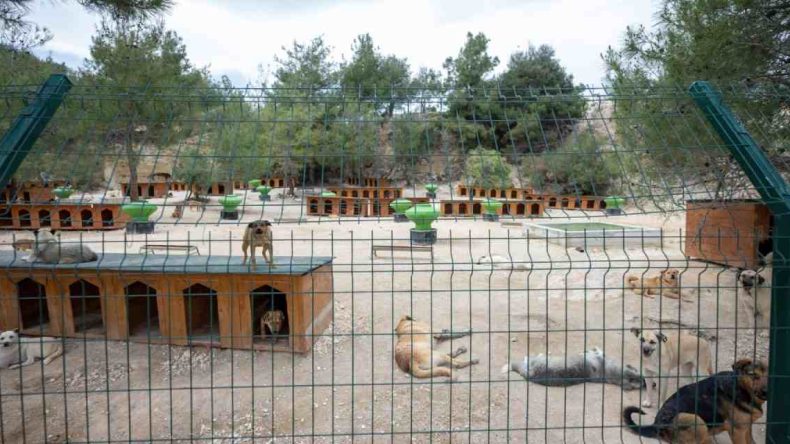 Mersin’de ‘Patiköy Doğal Yaşam Alanı ve Sahiplendirme Merkezi’ Açıldı