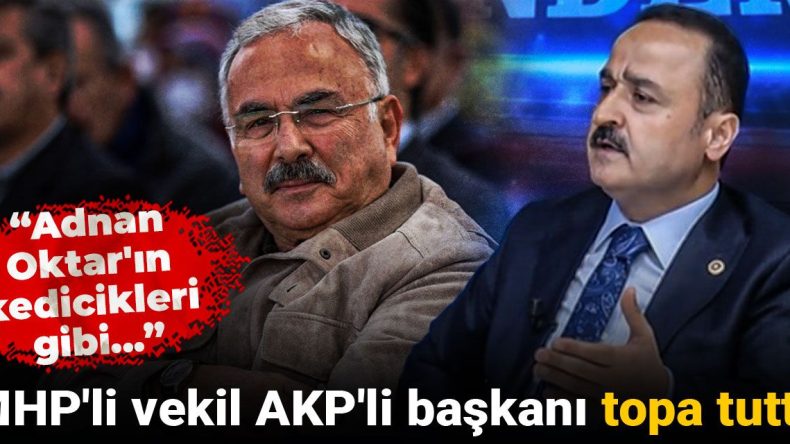 MHP’li vekil AKP’li başkanı topa tuttu: Adnan Oktar’ın kedicikleri gibi…