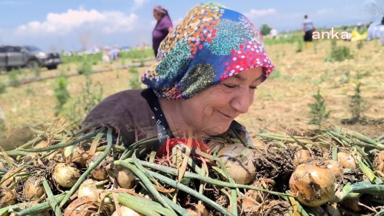 MHP’nin Kalesinden İnsan Manzaraları: Kuru Soğana Muhtaç Olduk