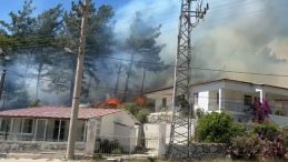 Muğla’da Orman Yangını