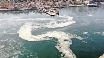 Müsilaj Filtre ve Motora Zarar Veriyor