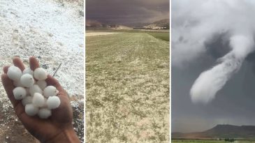 Önce Dolu, Sonra Hortum: Tarım Arazilerini Mahvetti